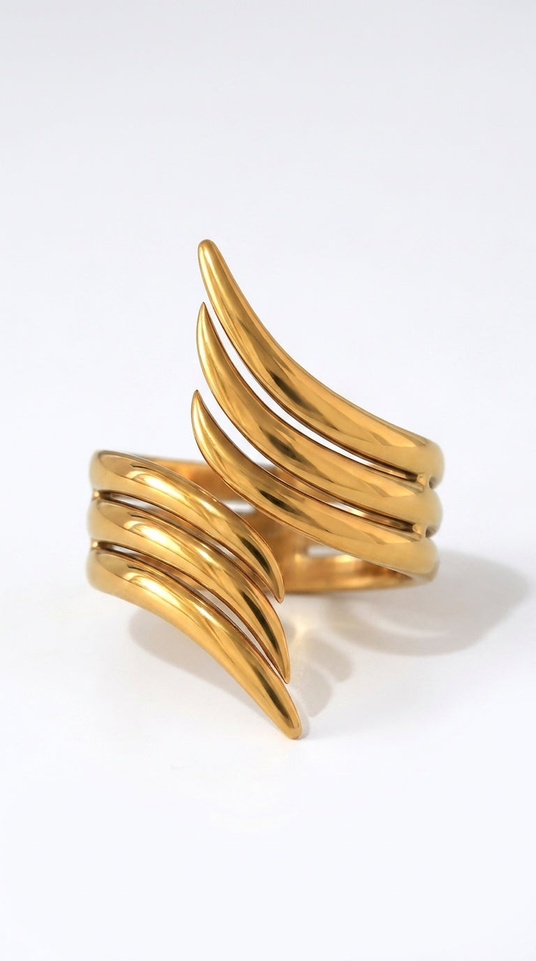 Anillo Las Palmas